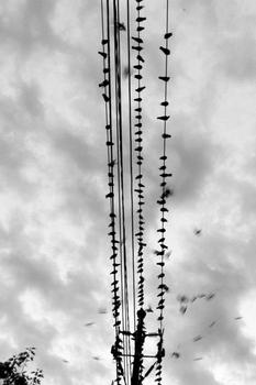 �������¸߿Ƽ���Ʒ��Ƶ����ý��ϰ��ƽ�ġ����Խ��...